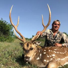 Axis Deer Hunting in Texas