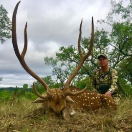 Hunt Giant Axis Deer