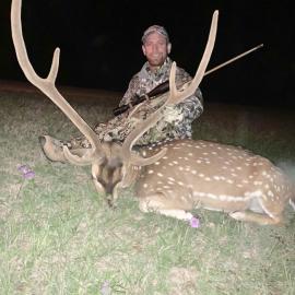 Texas Axis Deer Rifle Hunt