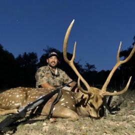 Texas Axis Deer Hunting
