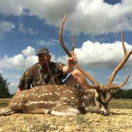 Ranch Hunt for Trophy Axis Deer