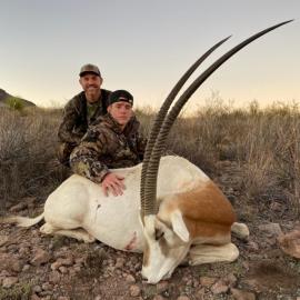 Trophy Scimitar Oryx Hunting