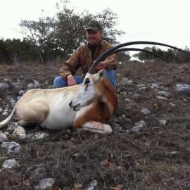 Scimitar Oryx Texas Hunting