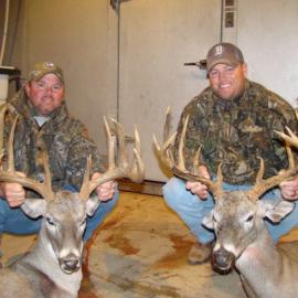 Two Trophy Whitetail Deer Bucks