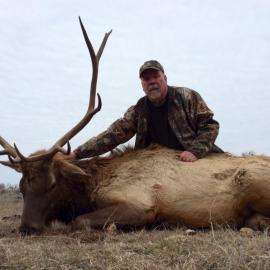 Hunt Elk in the Texas Hill Country