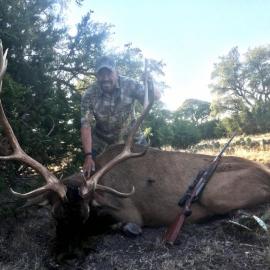 Trophy Elk Hunt in Texas