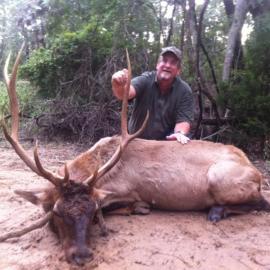 North American Elk Hunting