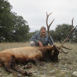 Hill Country Texas Elk Hunts