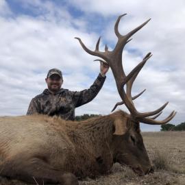 Shoot Giant Elk in Texas
