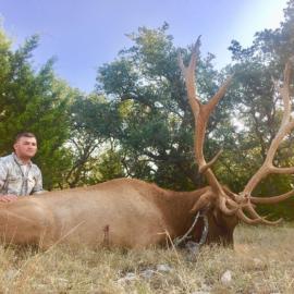 Hunt Elk in North America