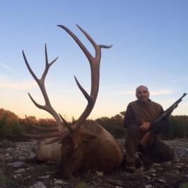 Rifle Hunt Elk in Texas Hill Country
