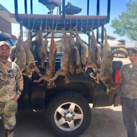 Hunt Predators in Texas