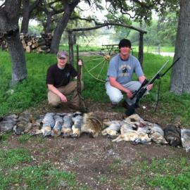 Hunt Ring Tail Cat in Texas