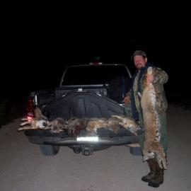 Hunt Bobcat in Texas
