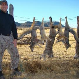 Hunt Bobcats and Predators in Texas