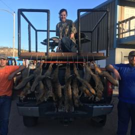 Hunt Lots of Predators in Texas