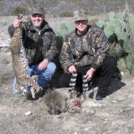 Cat hunting in Texas