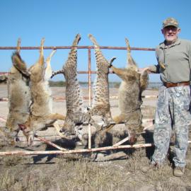 Bobcat Hunting in Texas