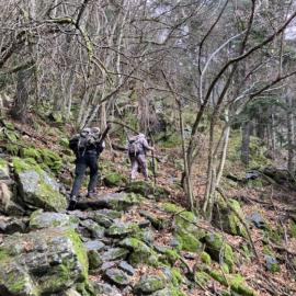 Terrain for a Pyrenean Chamois Hunt in Spain