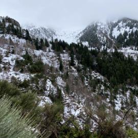 Pyrenean Chamois Hunting Area
