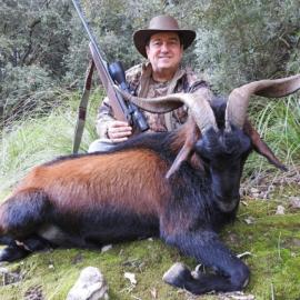 Trophy Balearean Boc Hunt
