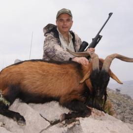 Hunt Balearean Boc on Mallorca