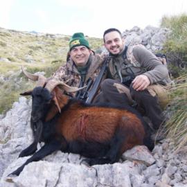 Hunt Baearean Boc in Spain