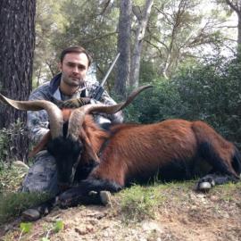 Mallorcan Wild Goat Trophy Hunt