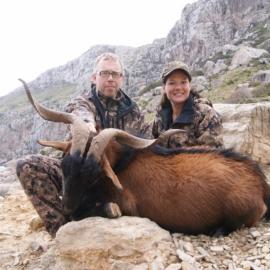 Hunting Giant Balearean Boc in Spain