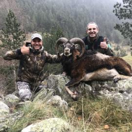 Hunt Mouflon Sheep in Spain