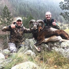 Hunt Mouflon Sheep and Pyrenean Chamois