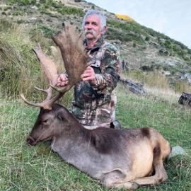 Huge Fallow Deer