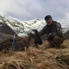 Hunt Himalayan Tahr in New Zealand 2