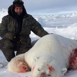 Huge Polar Bear Trophy