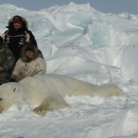 Beautiful NW Territory Polar Bear