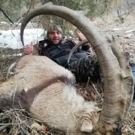 bezoar ibex hunt in Turkey