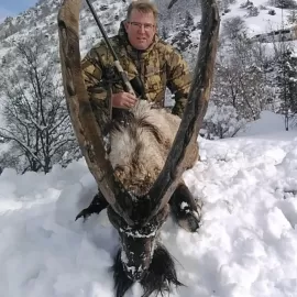 trophy bezoar ibex hunt