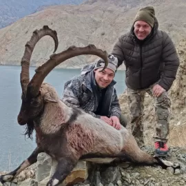 mountain hunt trophy bezoar ibex in Turkey