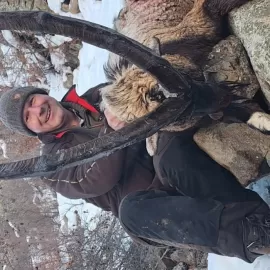 cheap bezoar ibex hunt