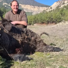 Wild Boar hunt from a high seat in Turkey