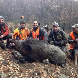 hog hunting in turkey