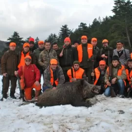 hunting wild boar with dogs in Europe