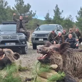hunting big wild boar in Turkey