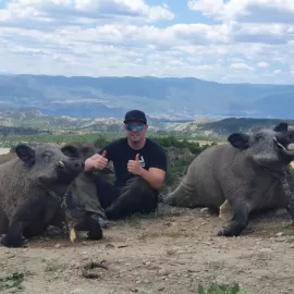 driven hog hunts in Europe