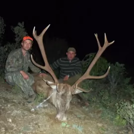 Turkish red stag hunting package