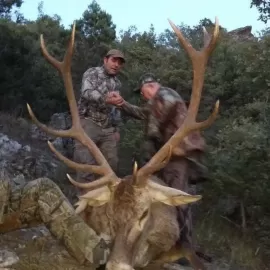 European red stag free range hunt