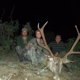hunting red stag