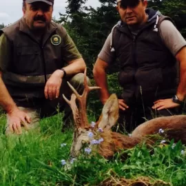 big roe deer hunt in turkey