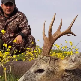 roe deer plains free range hunt