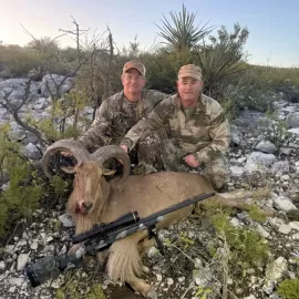 hunt free range aoudad